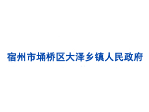 宿州市埇桥区大泽乡镇人民政府
