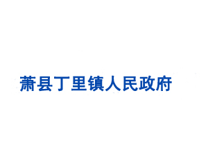 萧县丁里镇人民政府